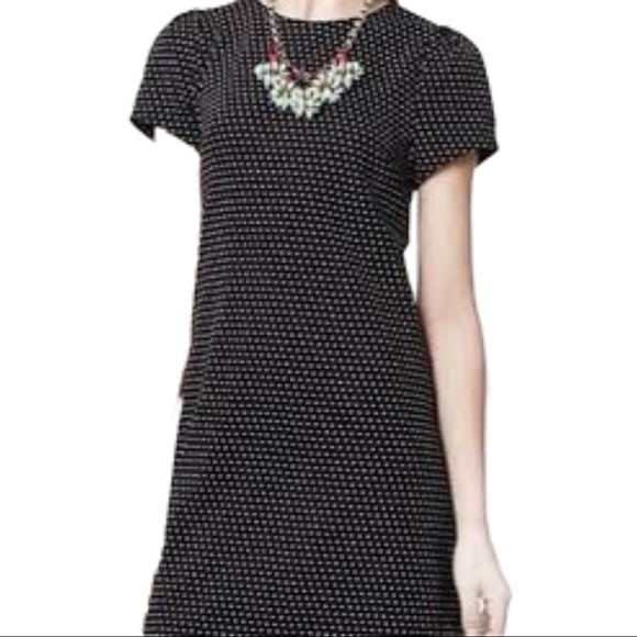 Maeve black white Polk dot T shirt style dress Size Medium Anthropologie - Picture 1 of 9